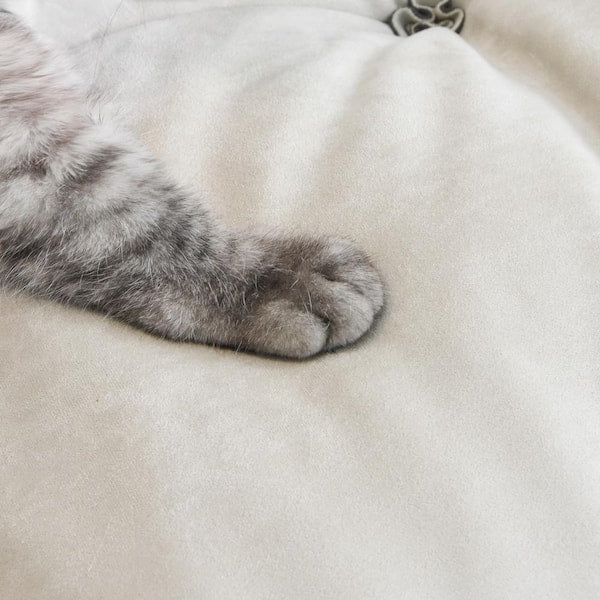 Overstuffed Anti-Cat Scratch Fabric Armless Leisure Sofa!